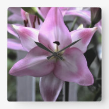 Résilience florale