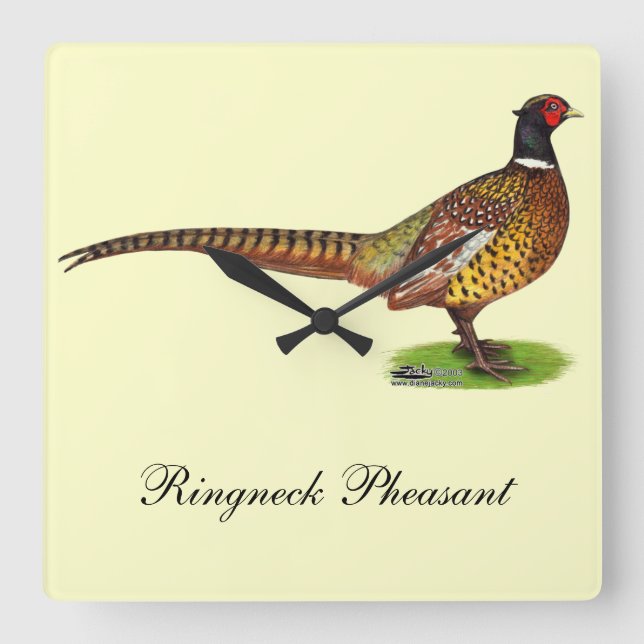 Horloge Carrée Ringneck Pheasant Rooster (Recto)