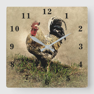 Horloge Carrée Rooster