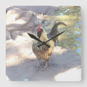 Horloge Carrée Rooster clock