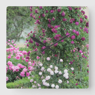 Horloge Carrée Roses sauvages
