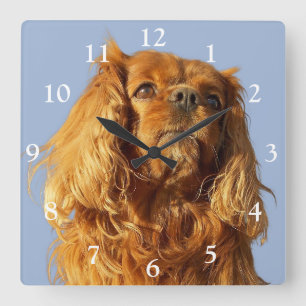 Horloge Carrée Ruby Cavalier King Charles Spaniel