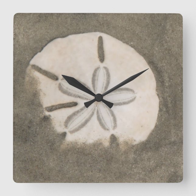Horloge Carrée Sables en dollars (Echinarachnius parma) (Recto)