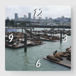 Horloge Carrée San Francisco et Otaries de Pier 39 Ciel de la Vil