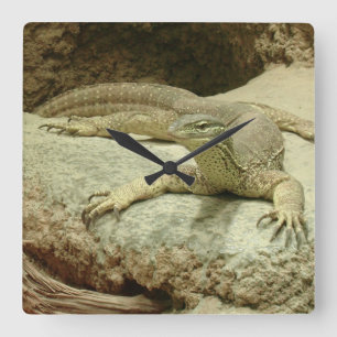 Horloge Carrée Sand goanna