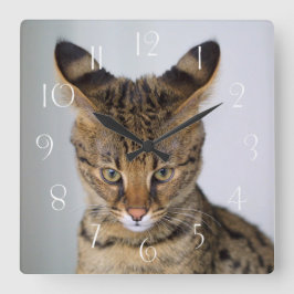 Horloge Carrée Savannah ‎ Chat