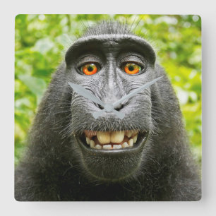 Horloge Carrée Selfie de singe
