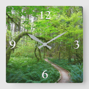 Horloge Carrée Sentier des Forêts anciennes du parc national Olym