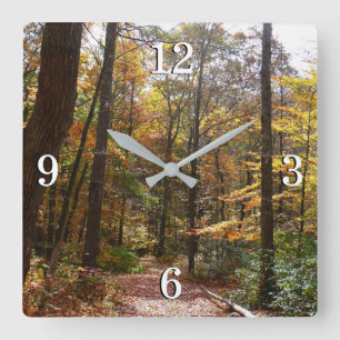 Horloge Carrée Sentier ensoleillé d'automne à Laurel Hill State P
