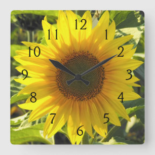 Horloge Carrée Seranade de tournesol