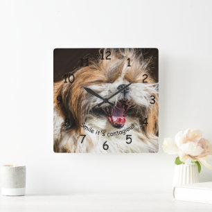 Horloge Carrée Shih tzu yawning laughing smile text customize