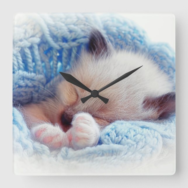 Horloge Carrée Siamese Kitten Paws dormant (Recto)