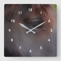 Soulful Eye of A Horse Animal