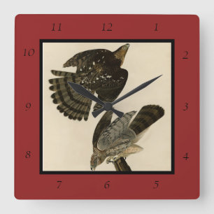Horloge Carrée Stanley (Cooper's) Hawk Audubon's Birds of America
