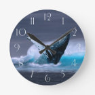 Stunning humpback whale