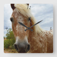 Sugar The Appaloosa Horse, Square Wall Clock.