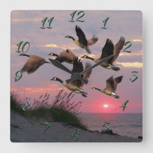 SURVEILLEZ LES DUNES