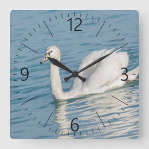 Horloge Carrée Swan