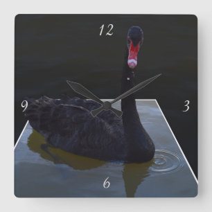 Horloge Carrée Swan Noir Nageant Dans Un Étang Dimensionnel,