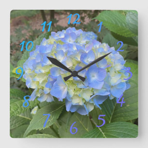 Horloge Carrée Sweet Pale Blue Mophead Hydrangea Numeral Clock