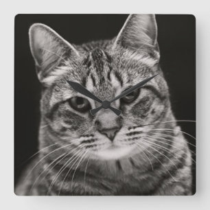 Horloge Carrée Tabby noir Kitten