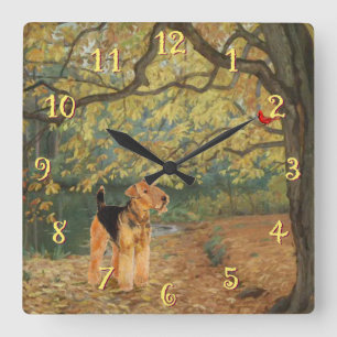 Horloge Carrée Tervueren Airedale en observation d'oiseaux