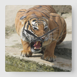 Horloge Carrée Tiger_2015_0156