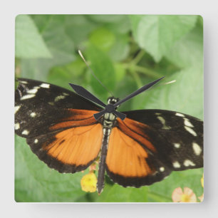 Horloge Carrée Tiger Longwing Butterfly Wall Clock