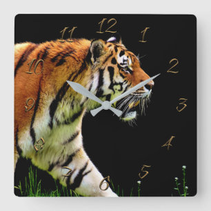 Horloge Carrée Tigre