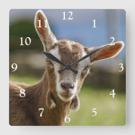 Horloge Carrée Toggenburg Dairy Goût Kid