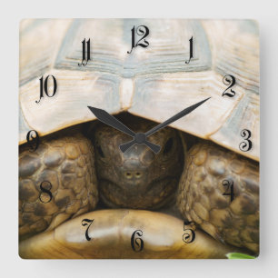 Horloge Carrée Tortoise
