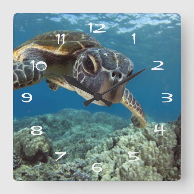 Horloge Carrée Tortue de mer verte hawaïenne (Recto)