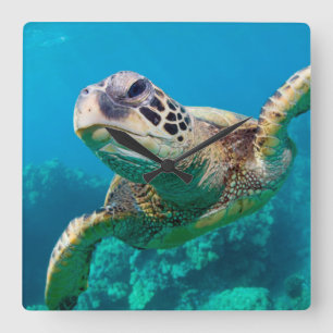 Horloge Carrée Tortue de mer verte nageant au-dessus du récif