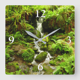Horloge Carrée Trillium Falls au parc national Redwood