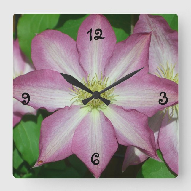 Horloge Carrée Trio de Clematis Pink and White Spring Vine (Recto)