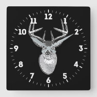Trophée Buck sur Cerf à queue blanche noire sur un