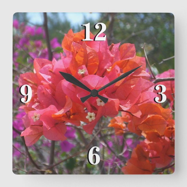Horloge Carrée Tropical Pink Bougainvillea Island Floral (Recto)