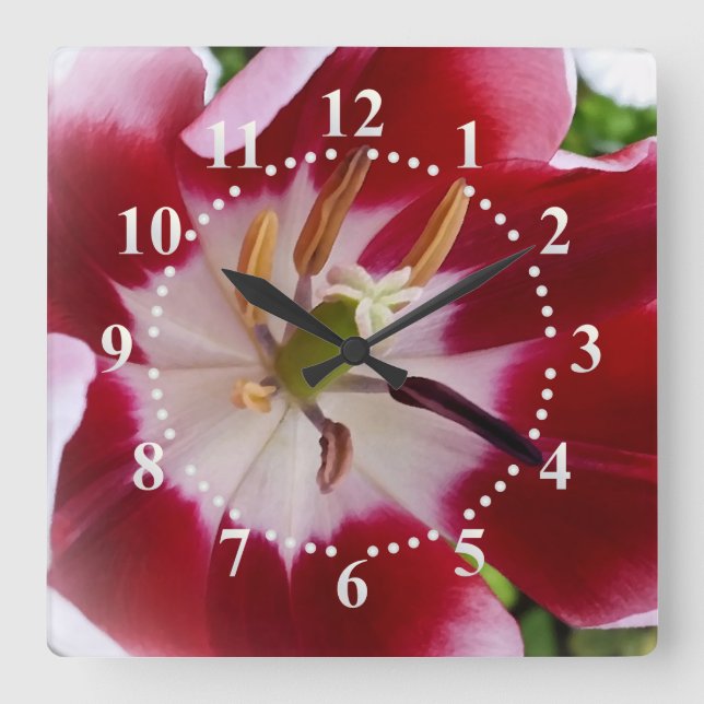 Horloge Carrée tulipe rouge brillante (Recto)