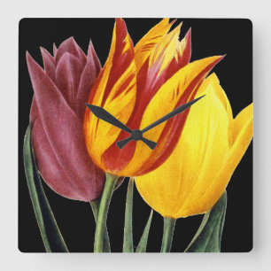 Horloge Carrée Tulipe (Tulipa Gesneriana)