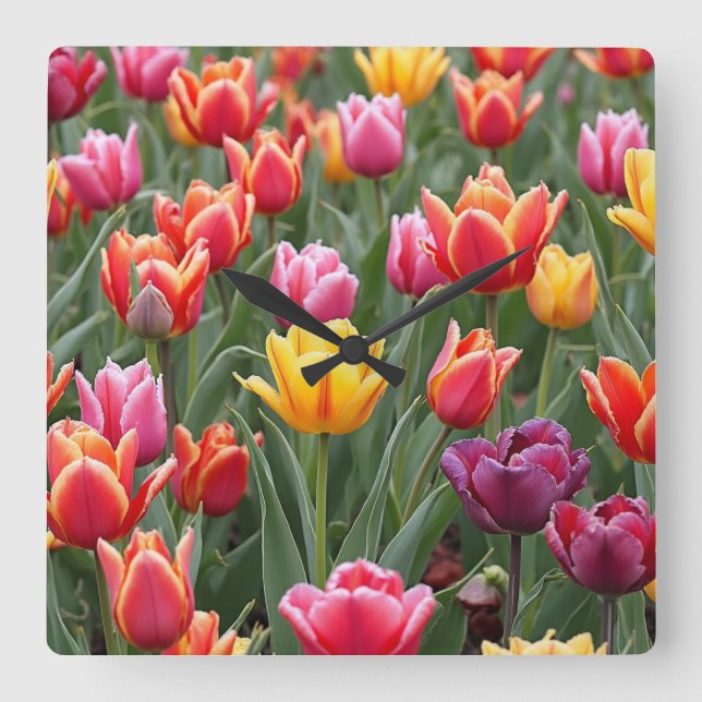 Horloge Carrée Tulipes néerlandaises (Recto)