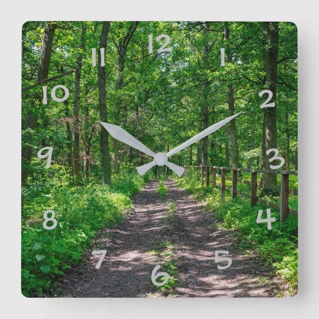 Horloge Carrée Un sentier dans la forêt verte (Recto)