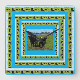 Horloge Carrée Vaches Galloway Dans Les Cadres De Vache Galloway