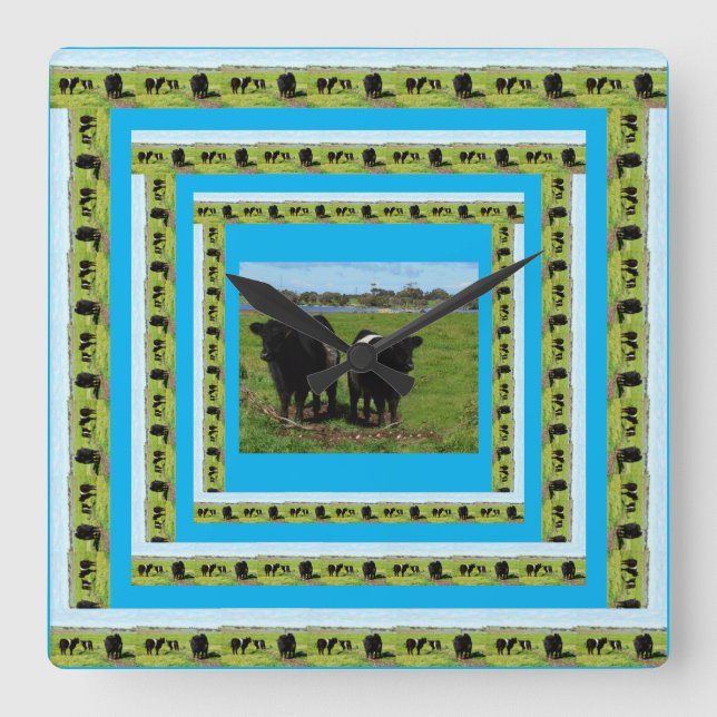 Horloge Carrée Vaches Galloway Dans Les Cadres De Vache Galloway (Recto)
