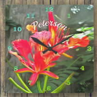 Vallarta Flaming Beauty 1583