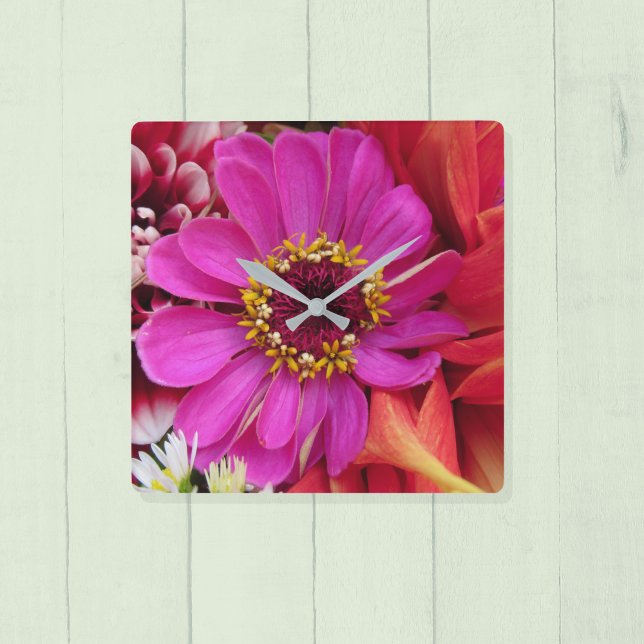 Horloge Carrée Vivid Magenta Zinnia Among (Créateur téléchargé)