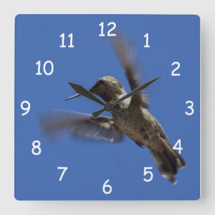 Horloge Carrée Vol du colibri