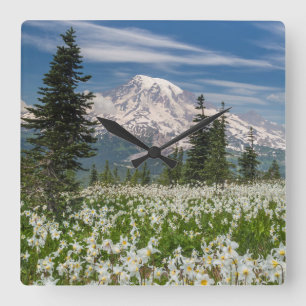 Horloge Carrée Washington, Parc national du Mont Rainier 1