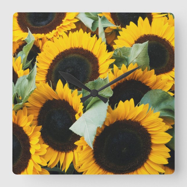 Horloge Carrée Washington, Seattle, Tournesol en vente de brochet (Recto)