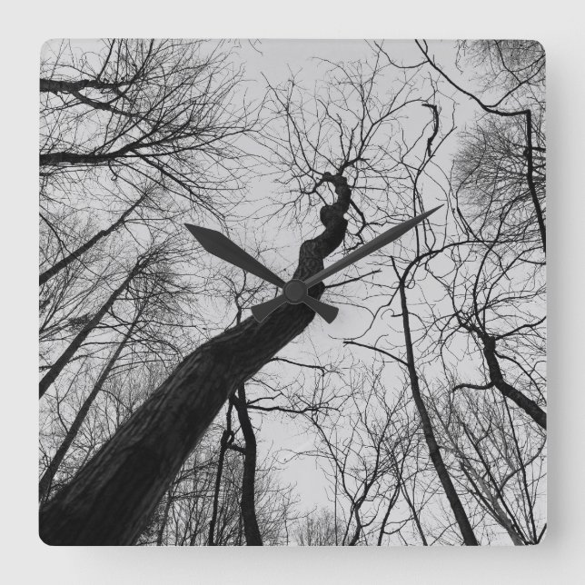 Horloge Carrée Wavy_Tree_Clock (Recto)