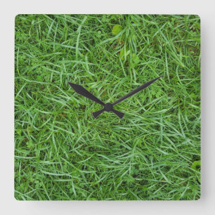 Horloge Carrée wet green